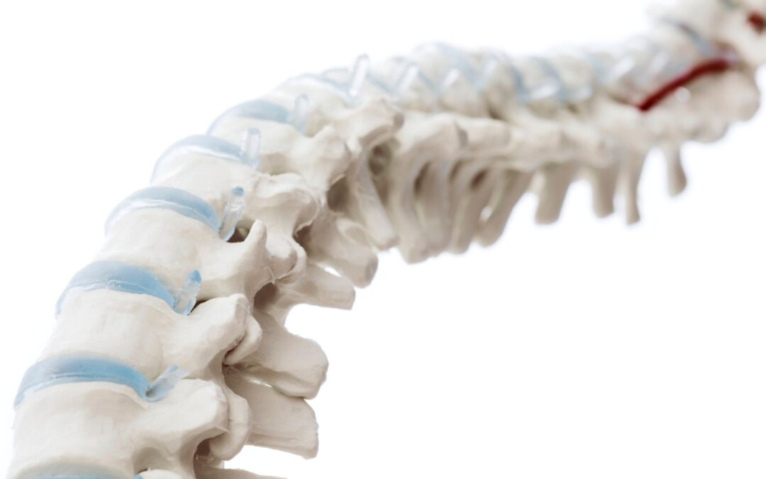 Los beneficios de la fisioterapia a domicilio para pacientes mayores